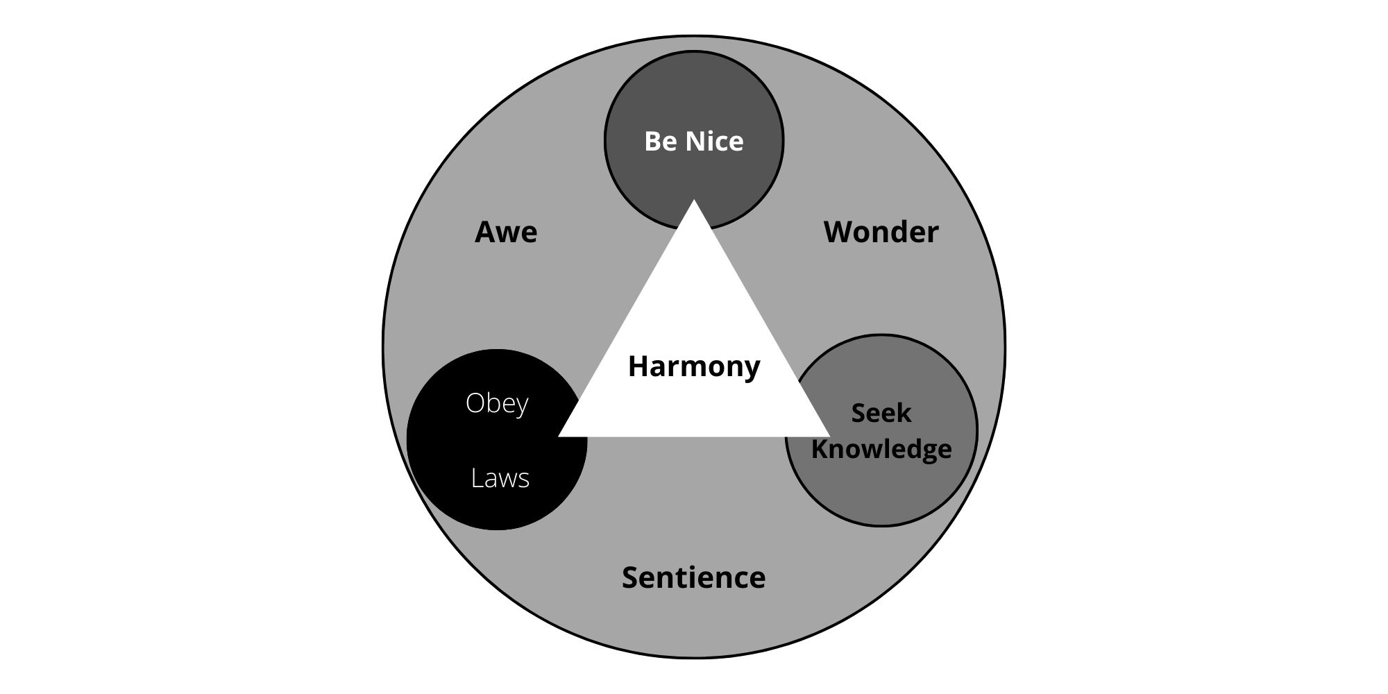 understanding harmony in the human being