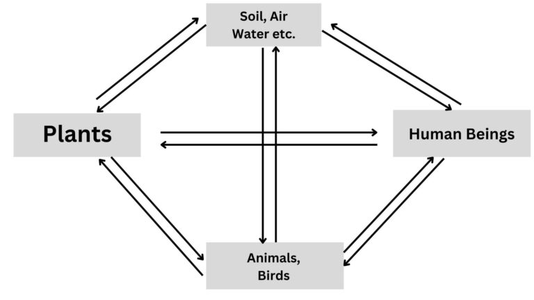 universal-human-order-in-human-values-thecscience