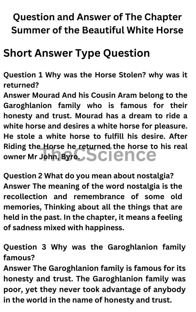 Question-and-Answer-of-The-Chapter-Summer-of-the-Beautiful-White-Horse