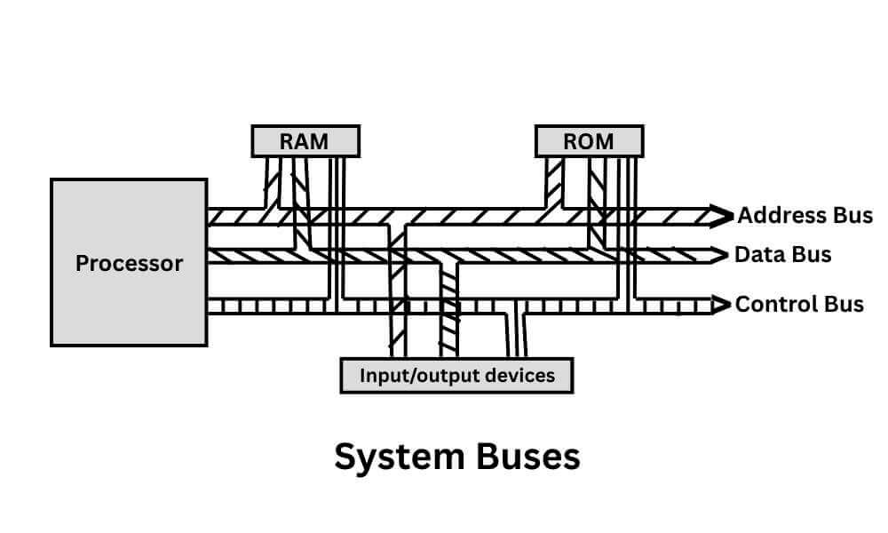 System buses in computer structure architecture