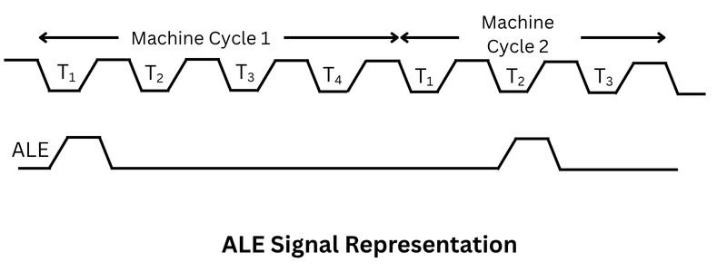 ALE signal Representation