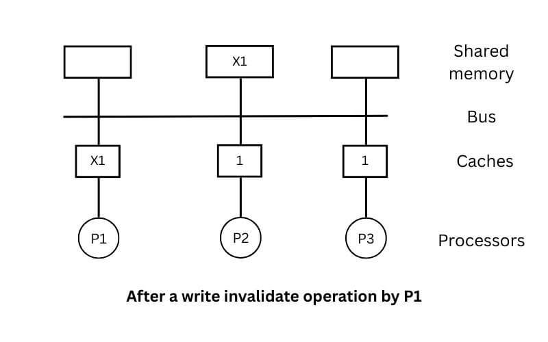Cache Write Policies