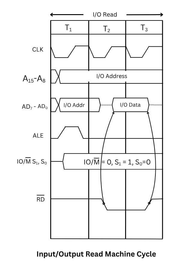 Input output read machine cycle