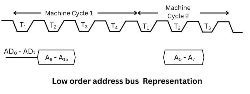 Low order address bus representation