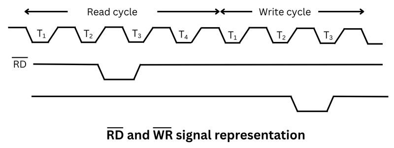 RD and WR signal representation