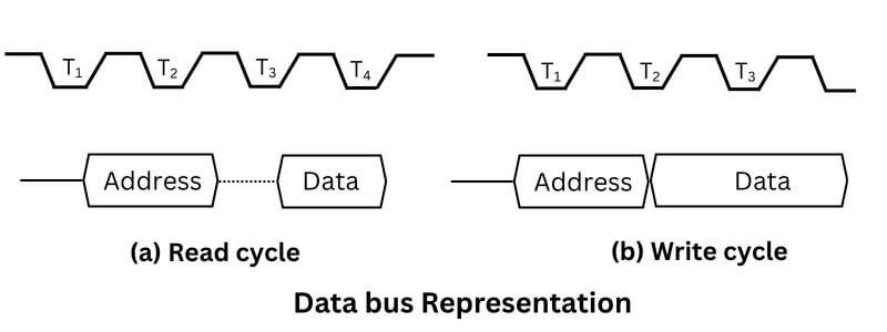 Data bus representation read write cycle