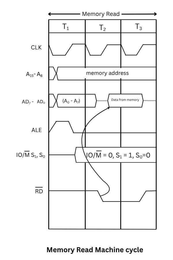 Memory read machine cycle