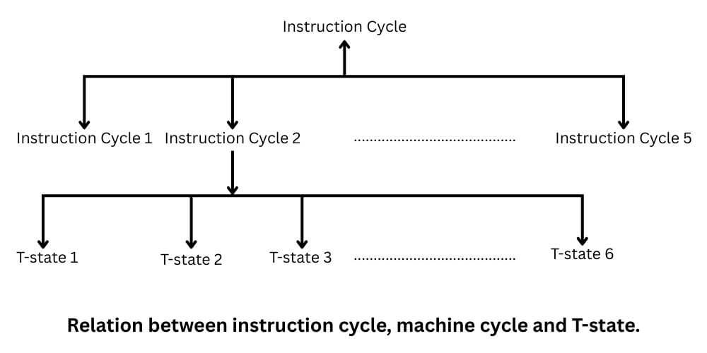 Relation between instruction, machine cycle and T-state