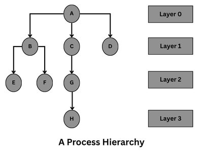 Process Hierarchy in operating system