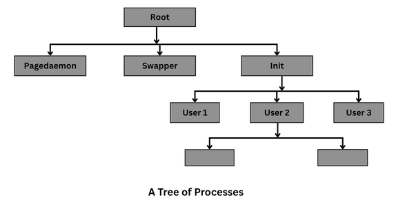 Processes tree in Operating System